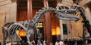 American Museum of Natural History Tickets