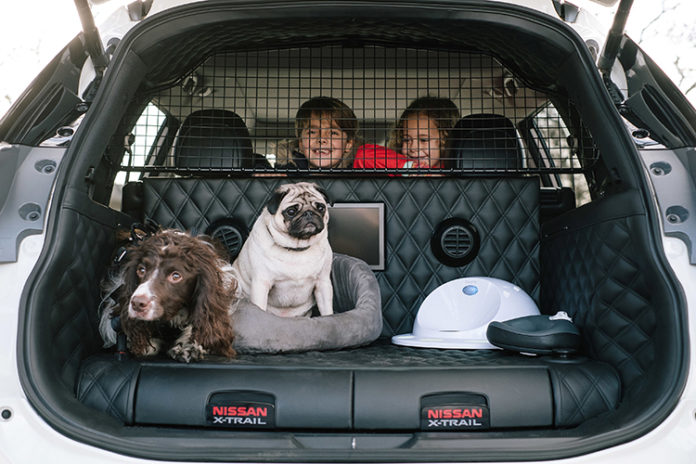 Car Travel with Dogs