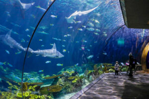 Shedd Aquarium Tickets Cost