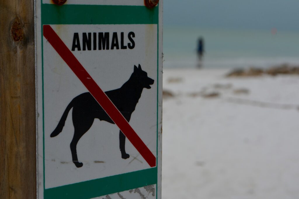 Siesta Key Beach Dog Friendly